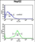 RSAD1 Antibody (C-term)