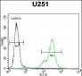 SCRN1 Antibody (N-term)