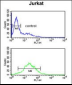 TPC6A Antibody (N-term)