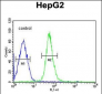 HMGA2 Antibody (C-term)