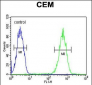 FADS2 Antibody (Center)