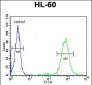 CD69 Antibody (Center)