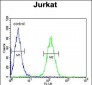 AXIN2 Antibody (C-term)