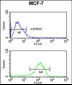 LSP1 Antibody (Center)