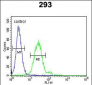 EpCAM Antibody (N-term)