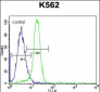 NLK-T286 Antibody (Center)