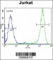 EIF4E Antibody (Ascites)