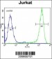 EIF4E Antibody (Ascites)