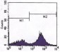 CD3 Antibody