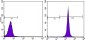 NCOA3 Antibody