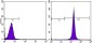 NCOA3 Antibody