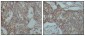NCOA3 Antibody