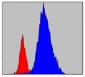 NKX2.5 Antibody