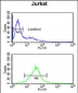 TFAP4 Antibody (C-term)