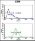 ITGA5 Antibody (C-term)