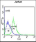 EHMT2 Antibody (N-term)