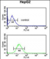 DDC Antibody (N-term)