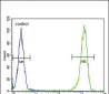 MC2R Antibody (C-term)