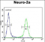 ZDHC2 Antibody  (N-term)