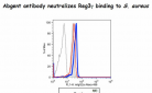 REG3G Antibody  (Center)