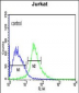 TRIM50 Antibody (C-term)