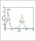 ADCYAP1 Antibody (C-term)