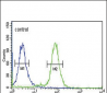 GP6 Antibody (C-term)