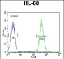APOBEC2 Antibody (N-term)
