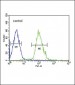 TUBB3 Antibody (N-term)