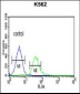 TCF4 Antibody (N-term)