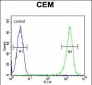 RCN3 Antibody  (Center)