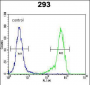 C4orf31 Antibody (N-term)