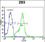 LGALS9B Antibody (Center)