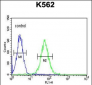 MINPP1 Antibody (N-term)