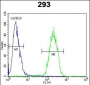 TNFRSF6B Antibody (N-term)