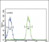 ABCC3 Antibody (Center)