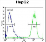 ATP5H Antibody (Center)