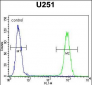 GSPT1 Antibody (N-term)