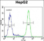 K0090 Antibody (C-term)