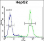 SERPINI1 Antibody (N-term)