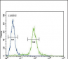 ITGA11 Antibody (N-term)