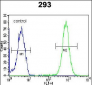 SAR1B Antibody (Center)