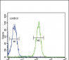 SLC9A3R1 Antibody (Center)