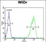 TANK Antibody (Center)