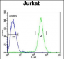SAMSN1 Antibody (Center)