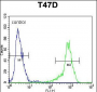 SIAH2 Antibody (Center)