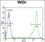 C4BPA Antibody (C-term)