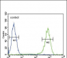 SFN Antibody (C-term)