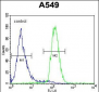 LILRA2 Antibody (Center)