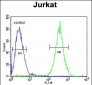 SELPLG Antibody (C-term)